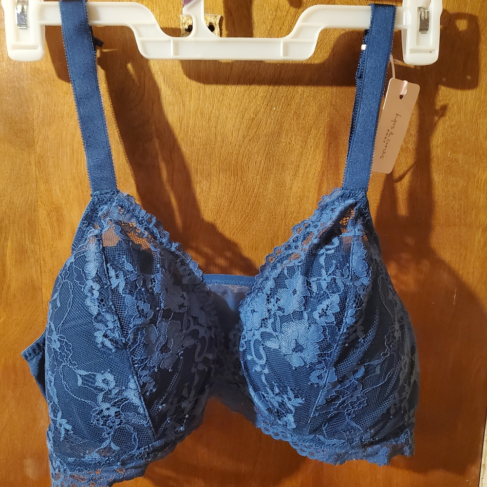 Elegant Lace Floral Blue Bra